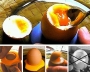  Limette stojak na jaja otwieracz do jajek